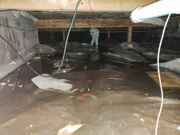 Best Crawl Space Water Damage Solutions in USA